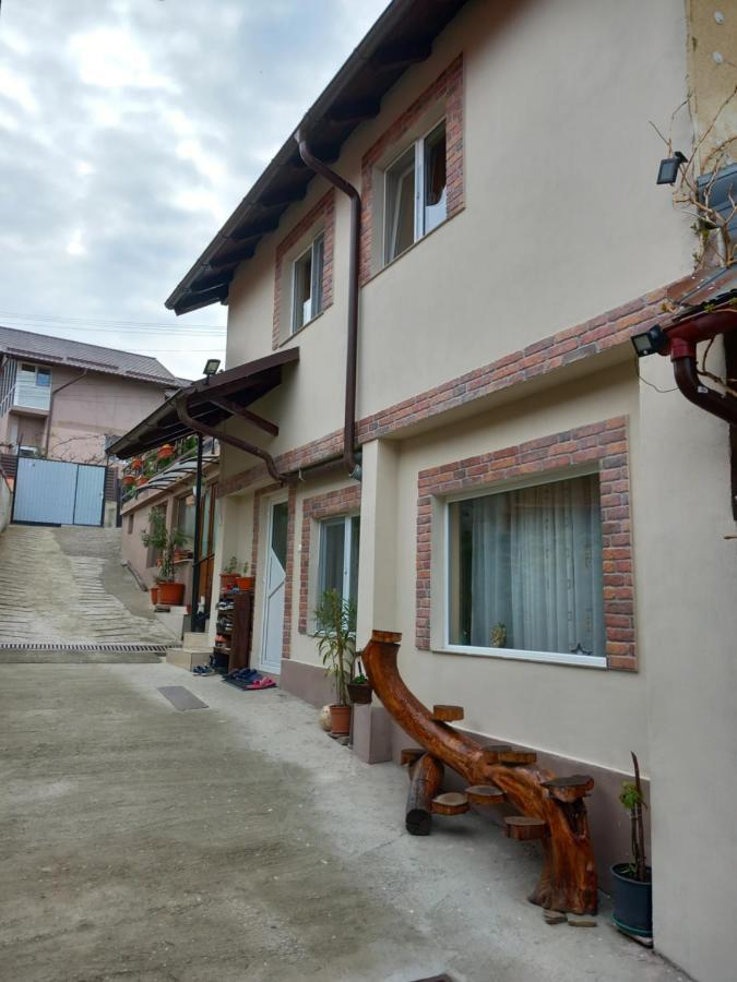 Hotel Casa Rariana Călimăneşti Exteriér fotografie