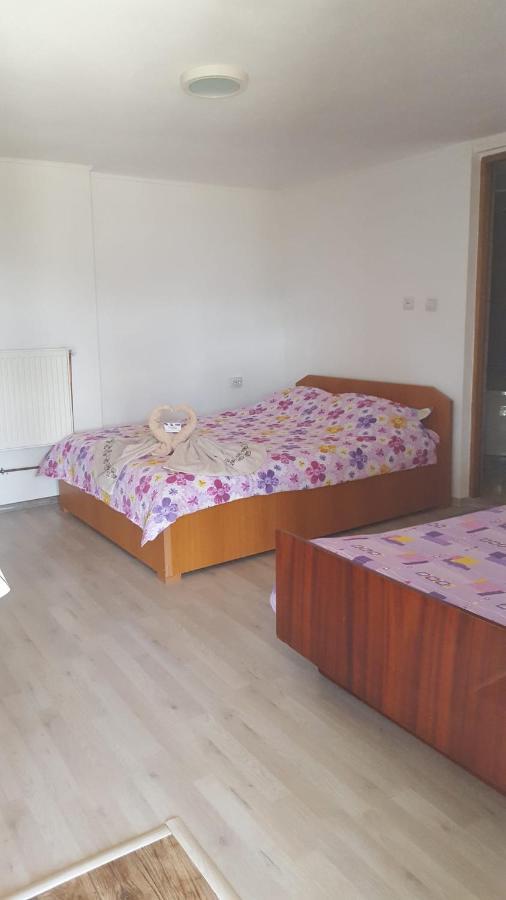 Hotel Casa Rariana Călimăneşti Exteriér fotografie