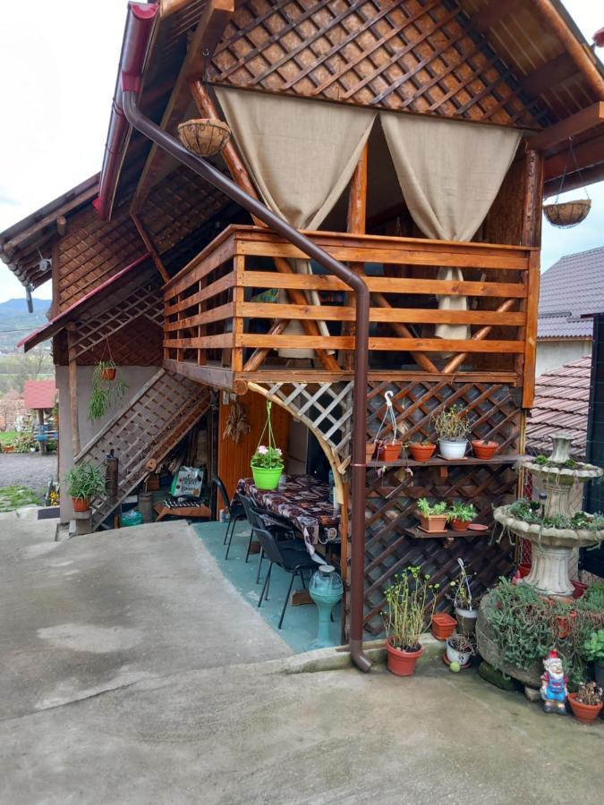 Hotel Casa Rariana Călimăneşti Exteriér fotografie